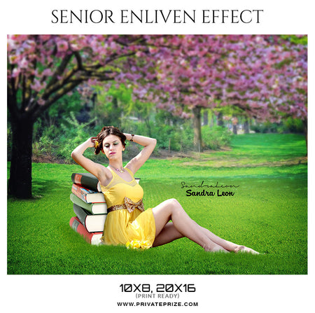 Sandra Leon - Senior Enliven Effect Photoshop Template - Photography Photoshop Template