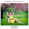 Sandra Leon - Senior Enliven Effect Photoshop Template - Photography Photoshop Template