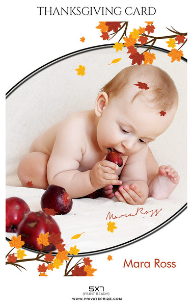 Mara Ross - Thanksgiving card - Photography Photoshop Template