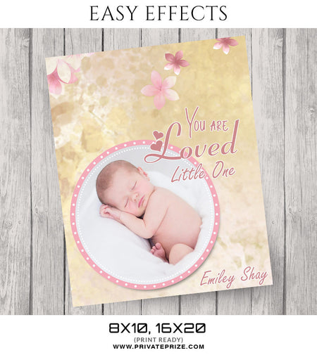 Emiley Shay - Easy Effects - Photography Photoshop Template