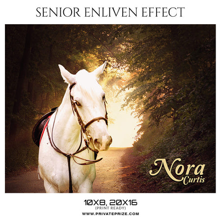 NORE CURTIS- SENIOR ENLIVEN EFFECT - Photography Photoshop Template