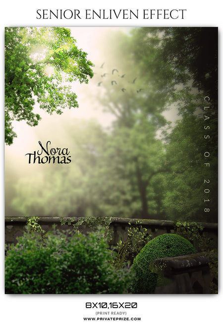 NORA THOMAS - SENIOR ENLIVEN EFFECT - Photography Photoshop Template