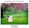 Sandra Leon - Senior Enliven Effect Photoshop Template - Photography Photoshop Template