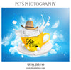 Taffy - Pets Photography - Photography Photoshop Template