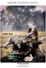 Raven Troy - Senior Enliven Effect Photoshop Template - Photography Photoshop Template