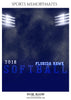 FLORIDA HAWK - SOFTBALL SPORTS PHOTOGRAPHY - Photography Photoshop Template