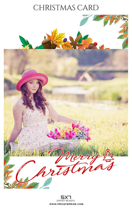 Helena Ross - Christmas Card - Photography Photoshop Template