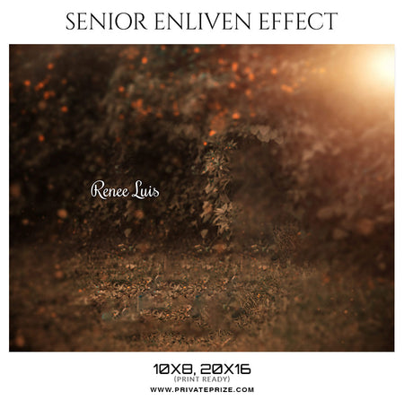 Renee Luis - Senior Enliven Effect Photography Template - Photography Photoshop Template