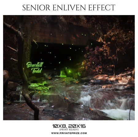 SCARLETT TODD - SENIOR ENLIVEN EFFECT - Photography Photoshop Template