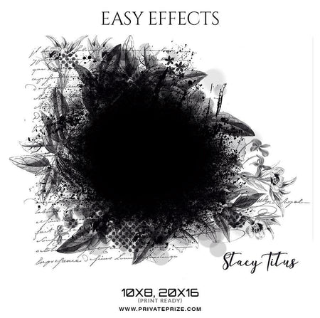 Stacy Titus - Easy Effects - PrivatePrize - Photography Templates